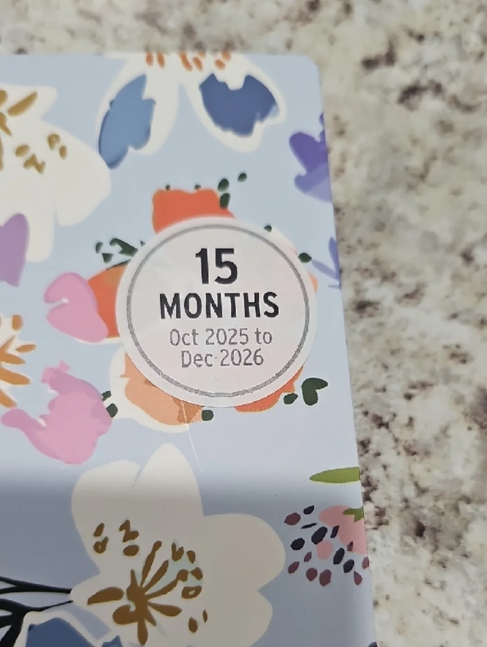 See It Bigger Blue Floral Planner